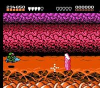 une photo d'Ã©cran de Battletoads sur Nintendo Nes